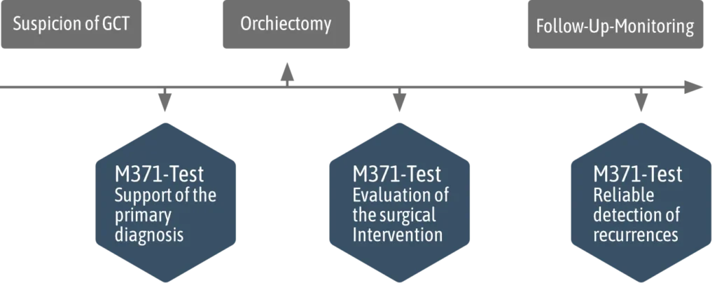 A timeline showing three stages: Suspicion of testicular cancer, Orchidectomy, and Follow Up Monitoring. Each stage is linked to the M371 Test for diagnostic cancer testing, surgical evaluation, and recurrence detection.